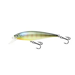 eurotackle202606031835432363268