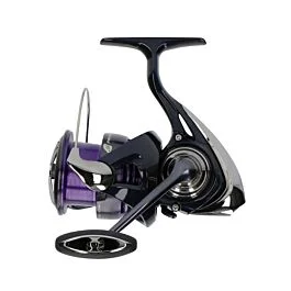 eurotackle202606031839152366572