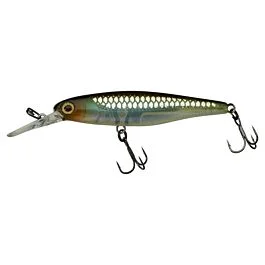eurotackle202606031845412372384