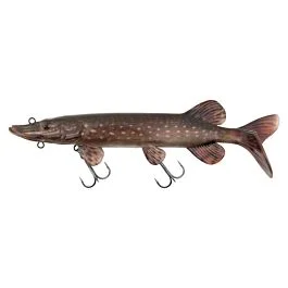 eurotackle202606031850432377133