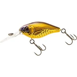 eurotackle202606031857472384062