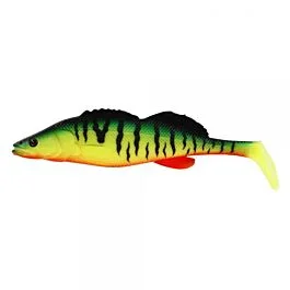 eurotackle202606031925002409779