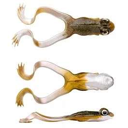 eurotackle202606031928232413037