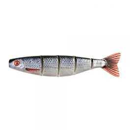eurotackle202606031930472415209