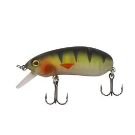 eurotackle202606031934292418685