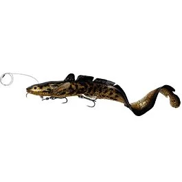 eurotackle202606031938442422716