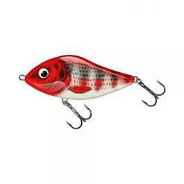 eurotackle202606031942342426353