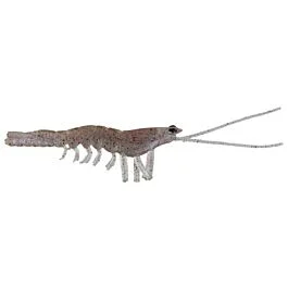 eurotackle202606031948242431591