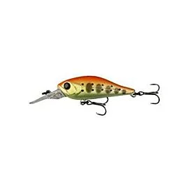 eurotackle202606031948252431613