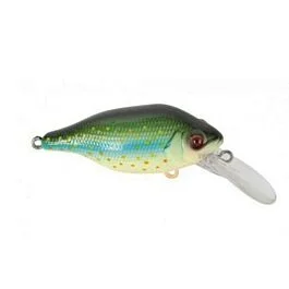 eurotackle202606031950092433149