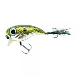 eurotackle202606031950112433174