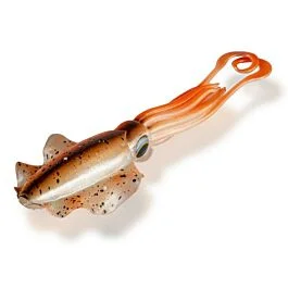 eurotackle202606031954212436826