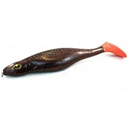 eurotackle202606031954492437234