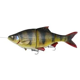 eurotackle202606031958522440567