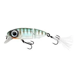eurotackle202606031958542440581
