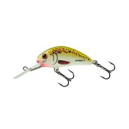 eurotackle202606032003312444169