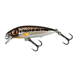 eurotackle202606032013132451689