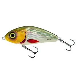 eurotackle202606032015462453678