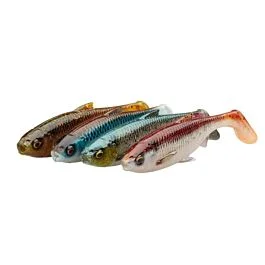 eurotackle202606032018132455630