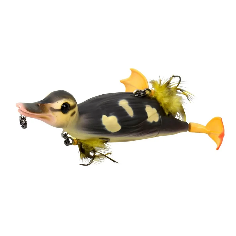 fishstorexl202606031814532342680