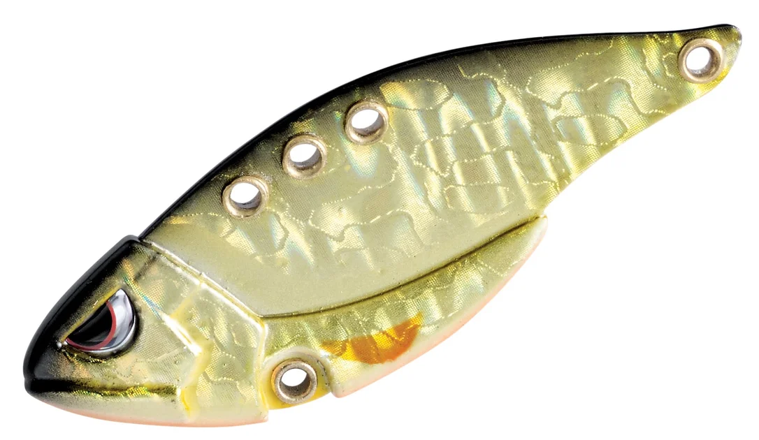 fishstorexl202606031818022345860