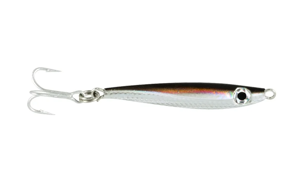 fishstorexl202606031818072345949