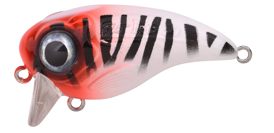 fishstorexl202606031819442347631