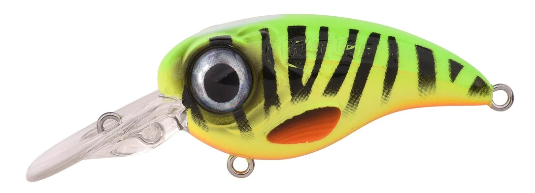 fishstorexl202606031819452347653