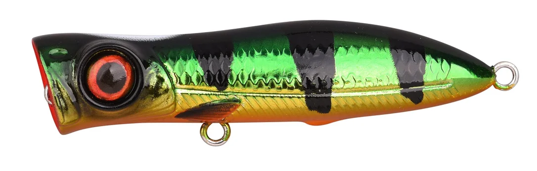fishstorexl202606031823062350980