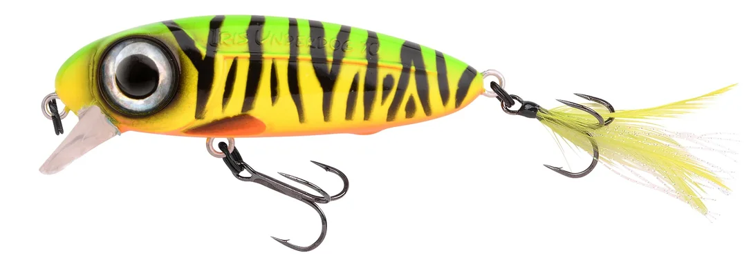 fishstorexl202606031823382351465
