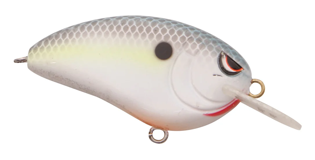 fishstorexl202606031824232352233