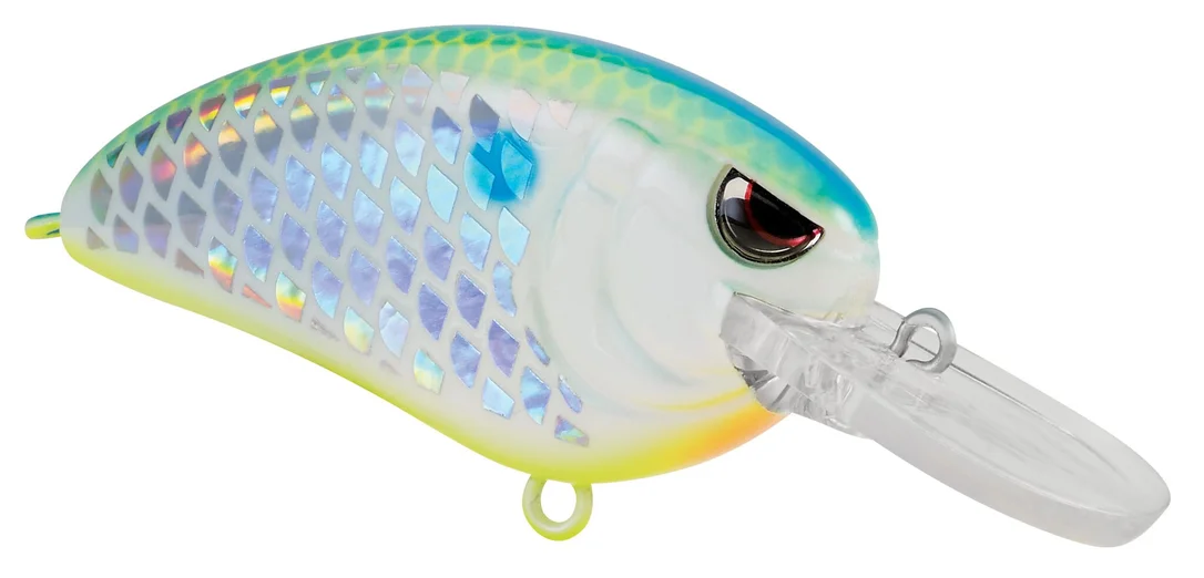 fishstorexl202606031824262352272