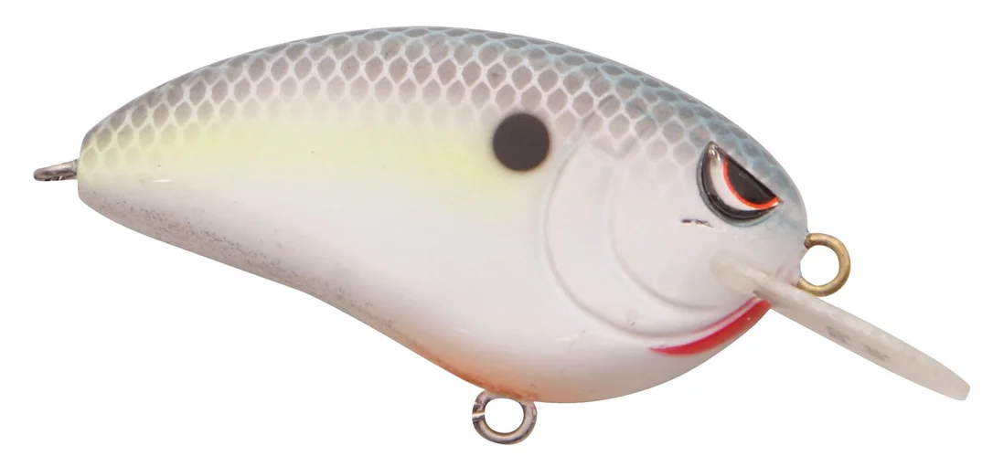 fishstorexl202606031824282352311