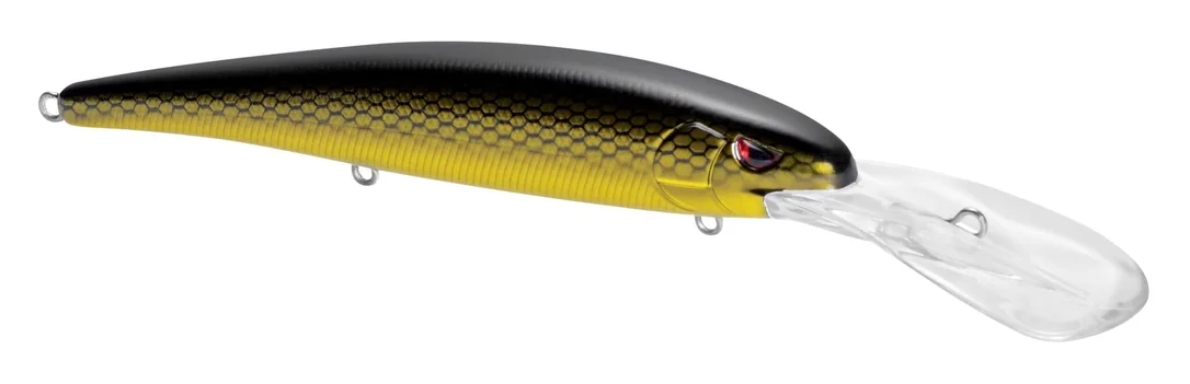 fishstorexl202606031824392352497