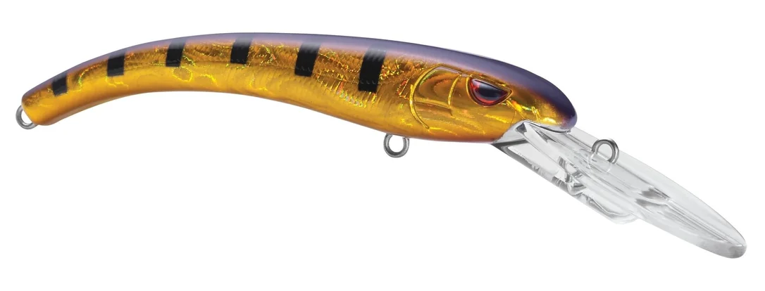 fishstorexl202606031824402352502