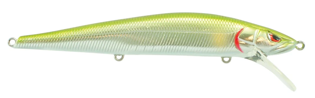 fishstorexl202606031824582352813