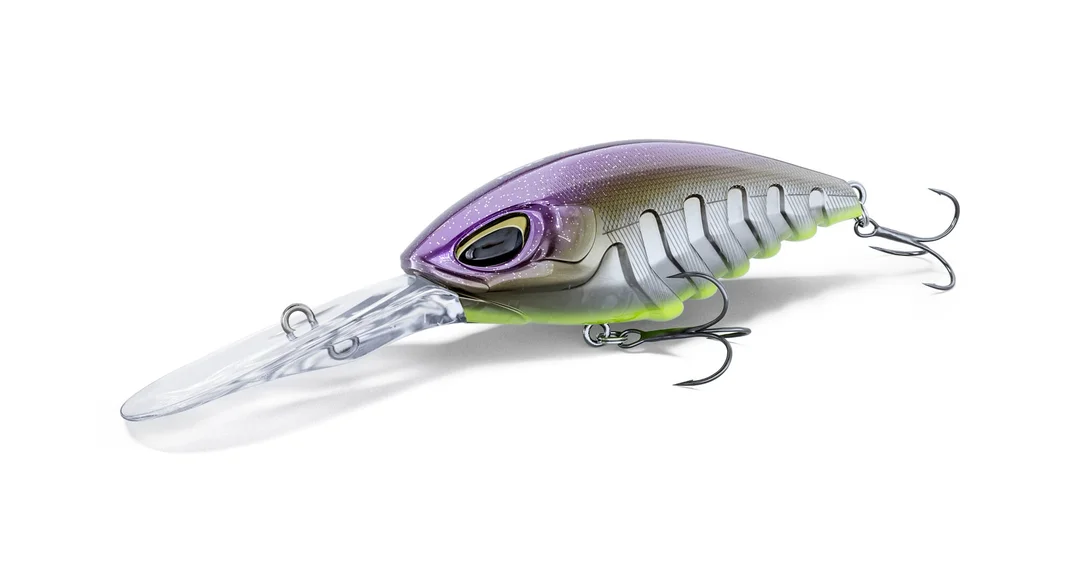 fishstorexl202606031825442353534
