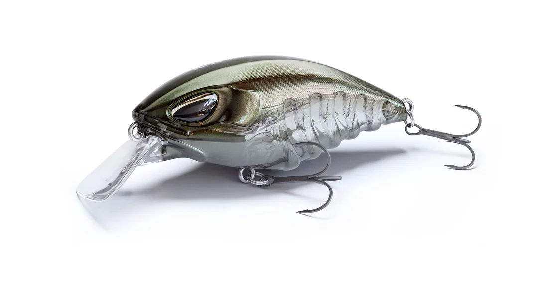 fishstorexl202606031825452353556