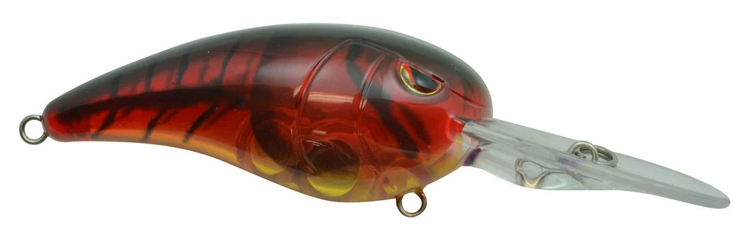 fishstorexl202606031828582356686