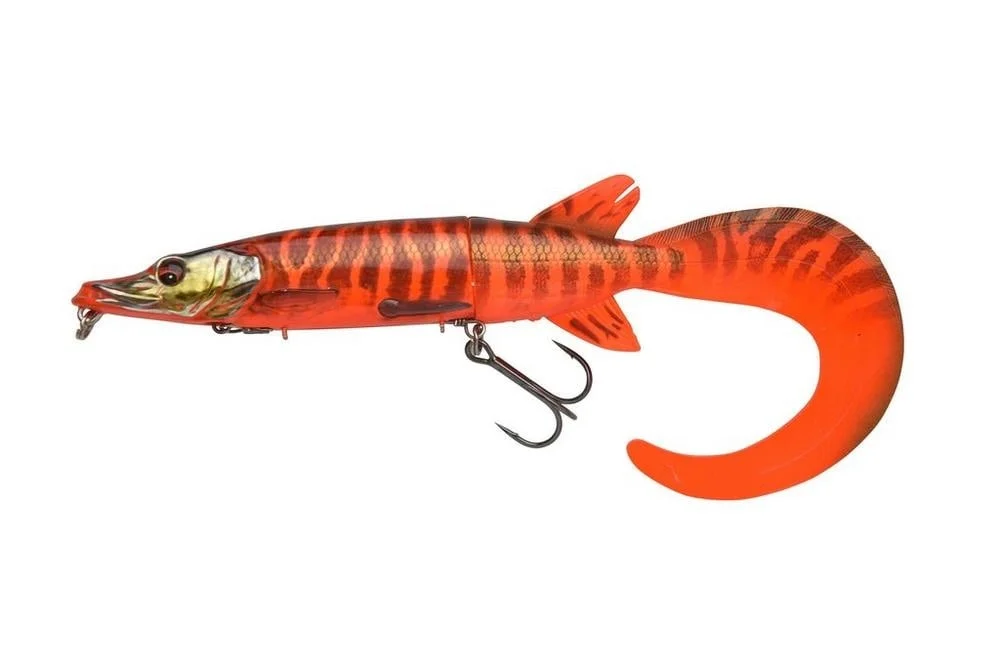 fishstorexl202606031829482357506