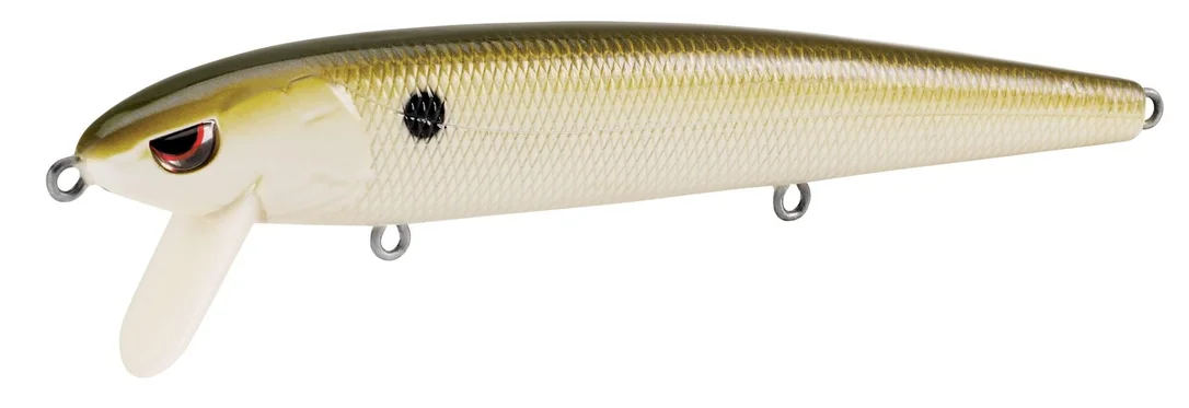 fishstorexl202606031836382364184