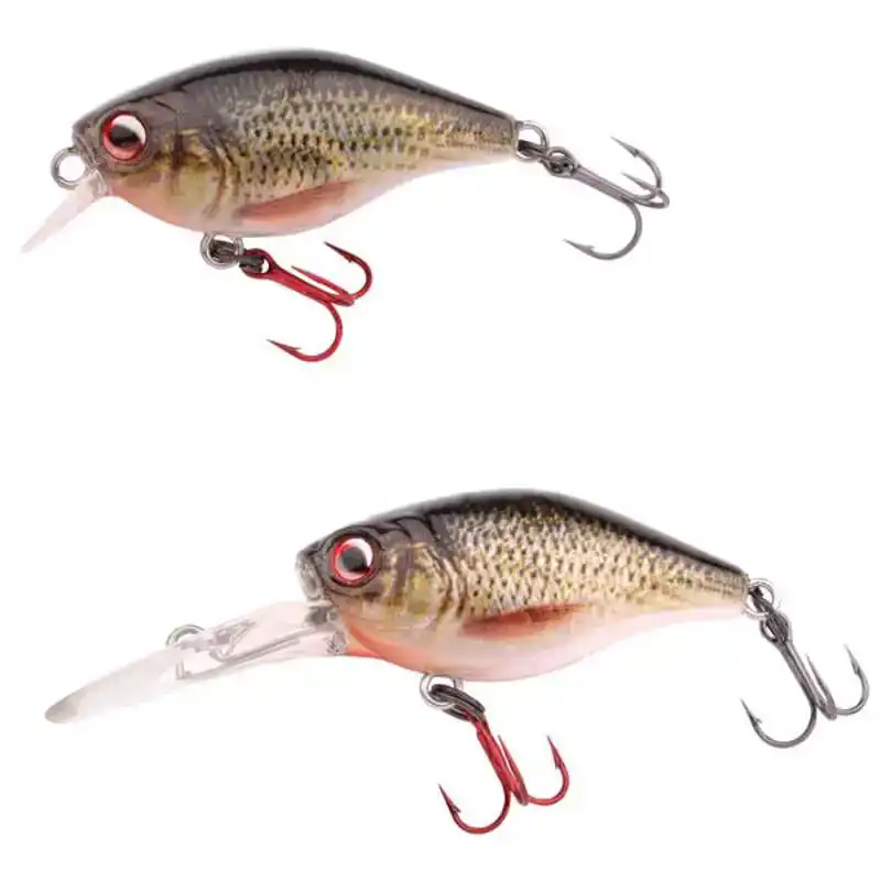 hengelsportfauna202606031743142325147