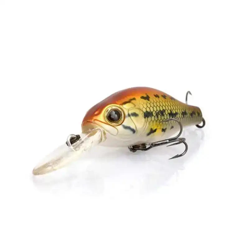 hengelsportfauna202606032029472464216
