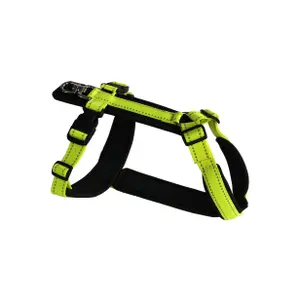 pecheur-store-1202606031815502343634