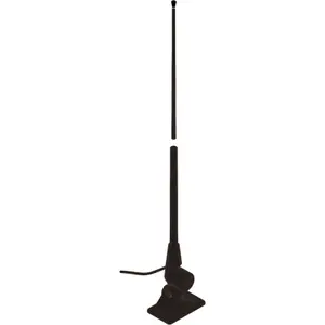pecheur-store-1202606032005082445390