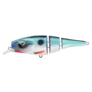 pecheur-store-1202606032025172460988