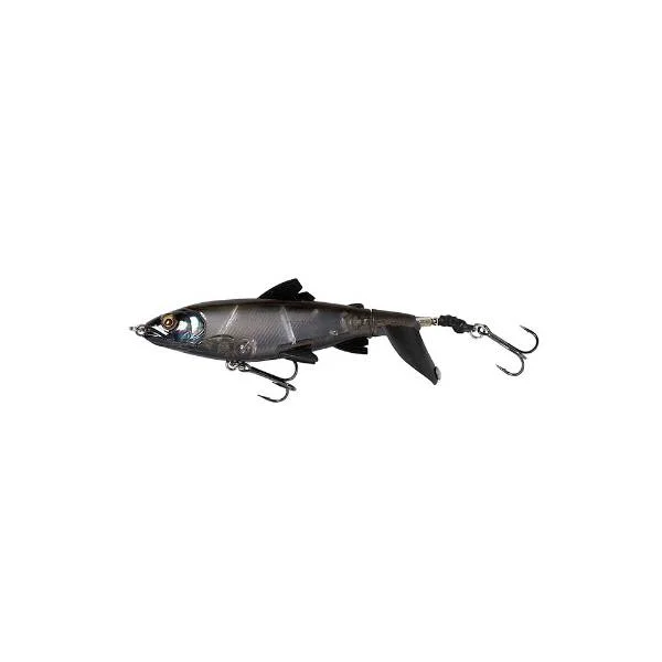 raven202606031811032339020