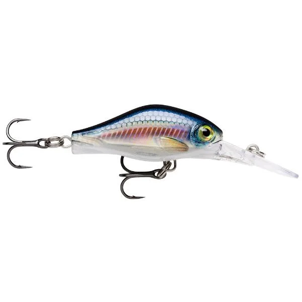 raven202606031834592362538