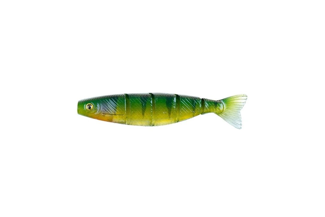 reniersfishing202606031817322345342