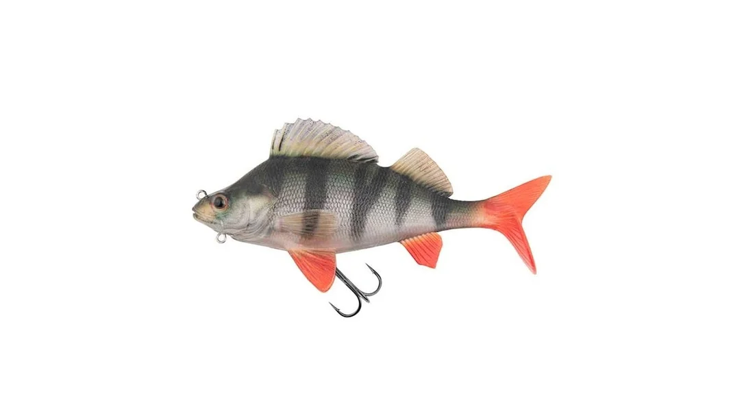 reniersfishing202606031819072347000